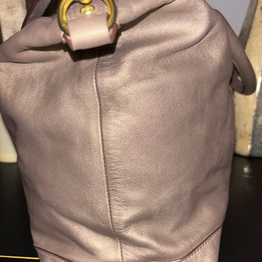 Coach Ashley Metallic Bronze Satchel- Matching Wristlet In Closet. - Picture 7 of 14